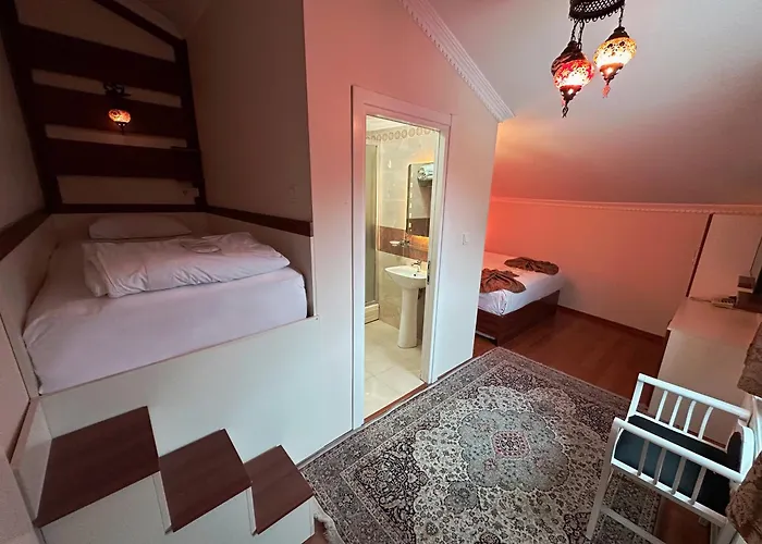 Modern Sultan Hotel 3*