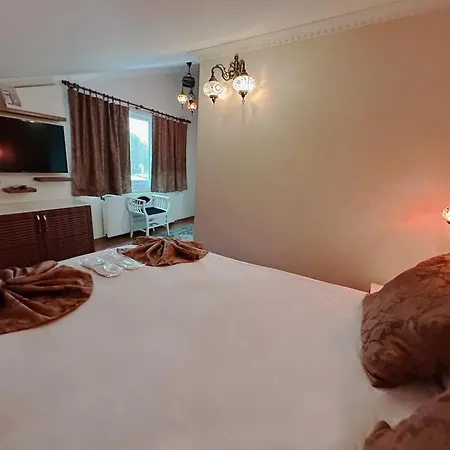 Modern Sultan Hotel